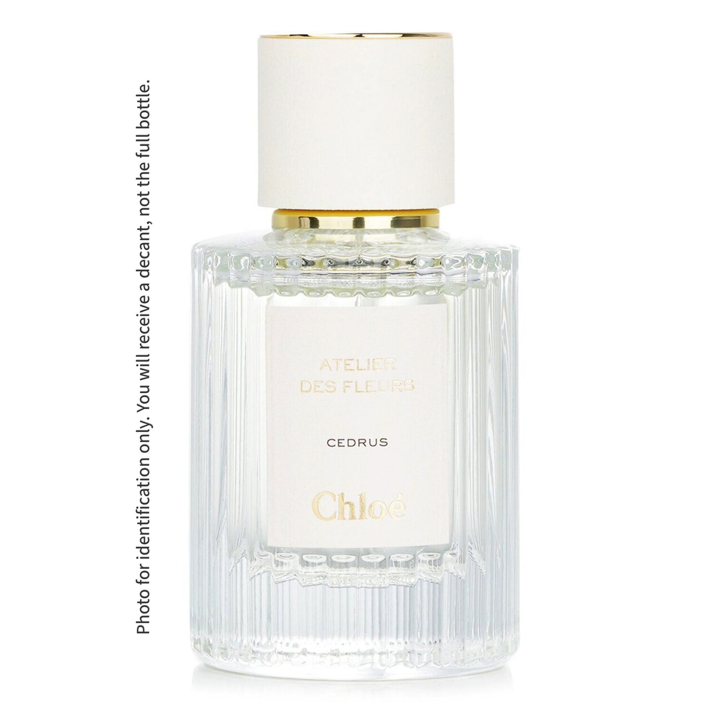 Spray Sample - Cedrus EDP