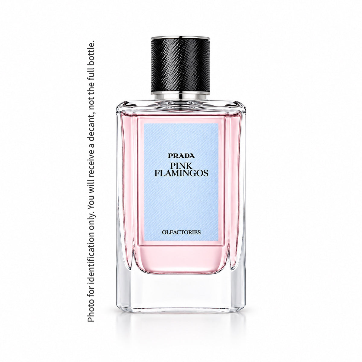 Pink Flamingoes EDP - Spray Sample